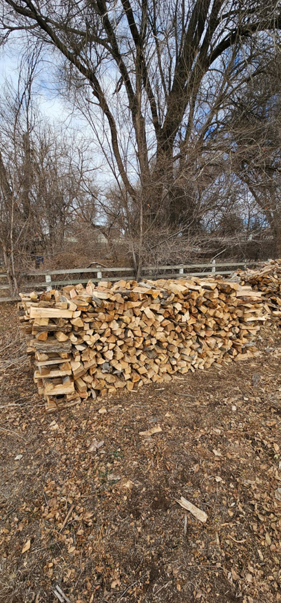 A large, neatly stacked pile of cut firewood, a common outcome of tree removal services by Jv Tree Service, LLC in Greeley, CO.
