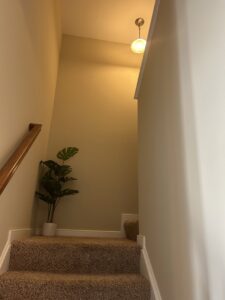 A carpeted staircase with a wooden handrail and freshly painted walls by Global Painting RVA in Richmond, VA.