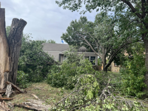 Storm cleanup and tree debris removal after a job by Starting Over Complete Lawn Care & Tree Service, LLC in Lawton, OK.