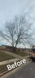 A large tree branch fallen across a fence and yard, with a Bobcat track loader ready for storm damage cleanup by A New Image Property Maintenance in Olive Branch, MS.
