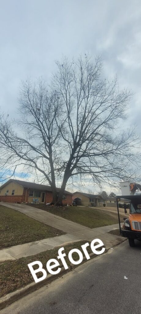 A large tree branch fallen across a fence and yard, with a Bobcat track loader ready for storm damage cleanup by A New Image Property Maintenance in Olive Branch, MS.
