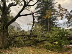 Extensive fallen branches and a tree in a yard after storm damage, cleaned up by EK Tree Service in Lancaster, PA.