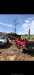 Storm damage cleanup showing a damaged house and broken tree trunk by Arbor Management Services in Shreveport, LA.