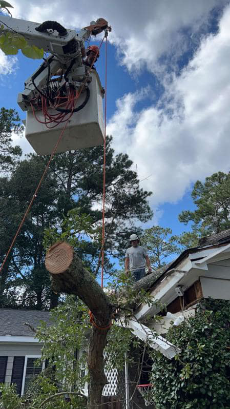 A tree service worker on a damaged roof while a bucket lift removes a tree branch during storm cleanup by GNC Tree Service, LLC in Columbia, SC.