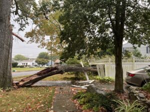 A large fallen tree blocking a driveway after storm damage, handled by EK Tree Service in Lancaster, PA.