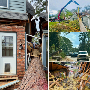 Storm damage repair collage: tree removal from house, interior reconstruction by Horhut Inc. in Pittsburgh, PA.