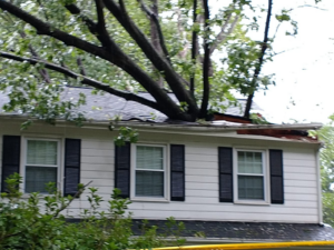 A house with a large tree fallen onto its roof, requiring repair services from Rampro Construction in Rock Hill, SC