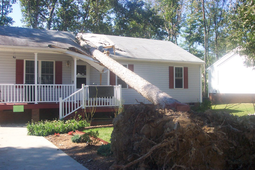 A large tree fallen on a house roof with tarps, showing storm damage cleanup by James River Tree Service in Midlothian, VA.
