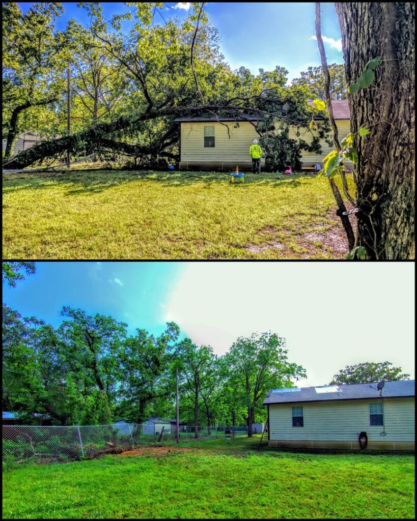 Before and after photos of storm damage tree removal from a house by Lone Star Arborists in Jackson, MS