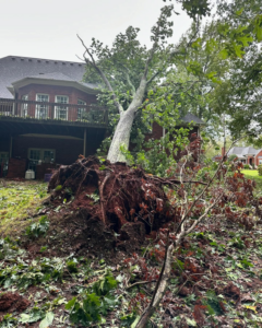 A large fallen tree with exposed roots next to a house, showing storm damage repair by Four Seasons Building & Remodeling in Mauldin, SC.