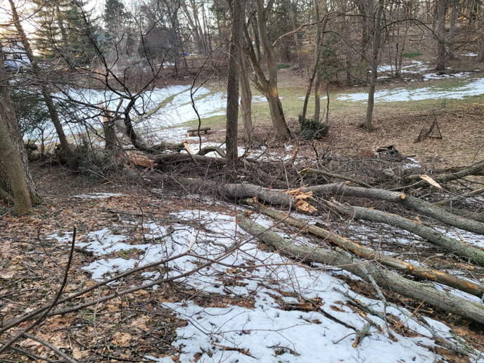Extensive storm damage with multiple fallen trees and branches handled by McGee's Tree Service LLC in Rochester, NY.