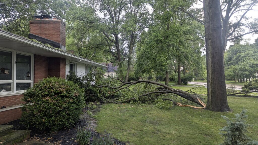 A large storm-damaged tree branch fallen onto a residential roof and lawn, requiring emergency tree service by Collier Lawn & Tree in Akron, OH.