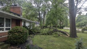 A large storm-damaged tree branch fallen onto a residential roof and lawn, requiring emergency tree service by Collier Lawn & Tree in Akron, OH.