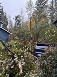 Fallen tree branches covering a car and driveway, showing storm damage requiring Haskins Tree Care in Bellevue, WA.