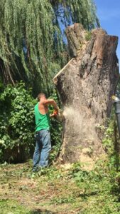 Fallen tree branches covering a residential yard, indicating storm damage requiring tree service from Top Notch Tree Care in Holt, MI.