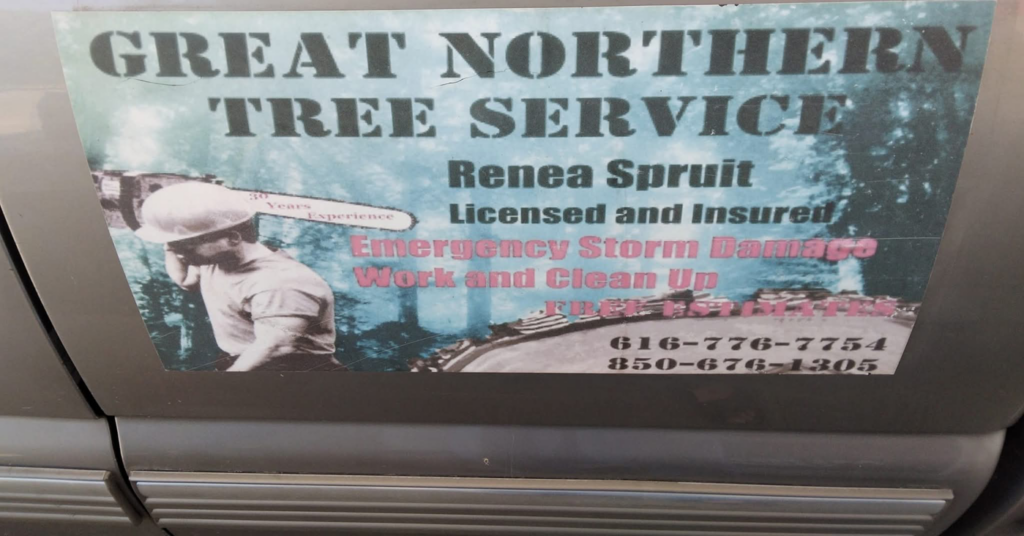 A storm-damaged tree with a large broken branch hanging over a fence, requiring service from Great Northern Tree Service in Grand Rapids, MI
