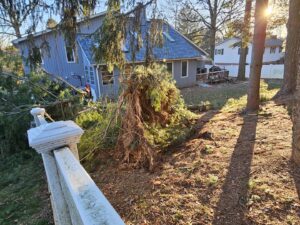A large tree fallen in a backyard after a storm, requiring cleanup by Timber Taskforce Tree Service in York, PA.