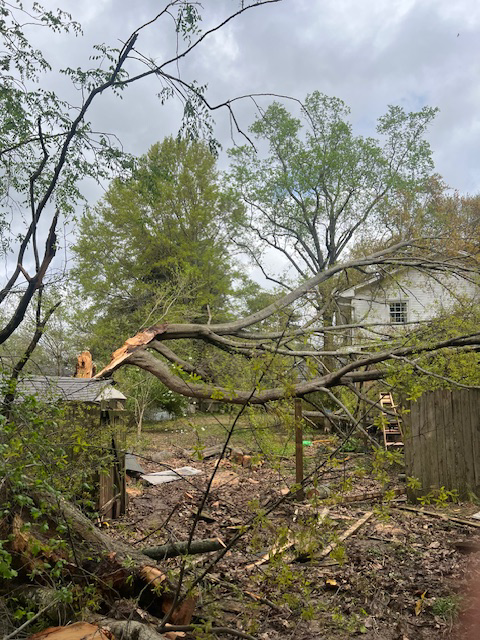Storm-damaged tree branches and debris scattered in a residential yard, ready for cleanup by G&H Tree Service in Jackson, TN.
