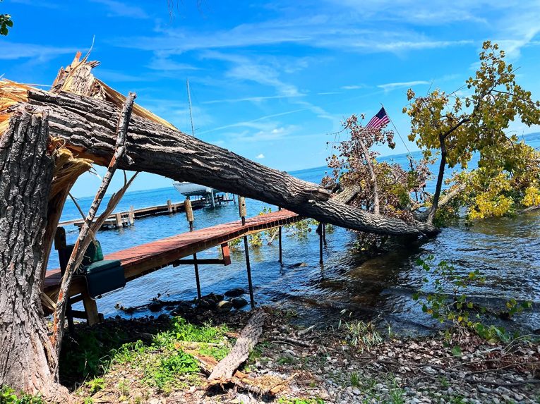 A storm-damaged tree fallen onto a wooden dock by a lake, ready for removal by L. Moore Tree Service in Auburn, NY.