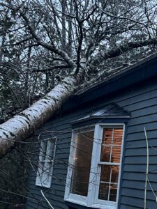 A large tree fallen on a house roof after a storm, requiring removal by BlueWater Tree Service, LLC in Bangor, ME.