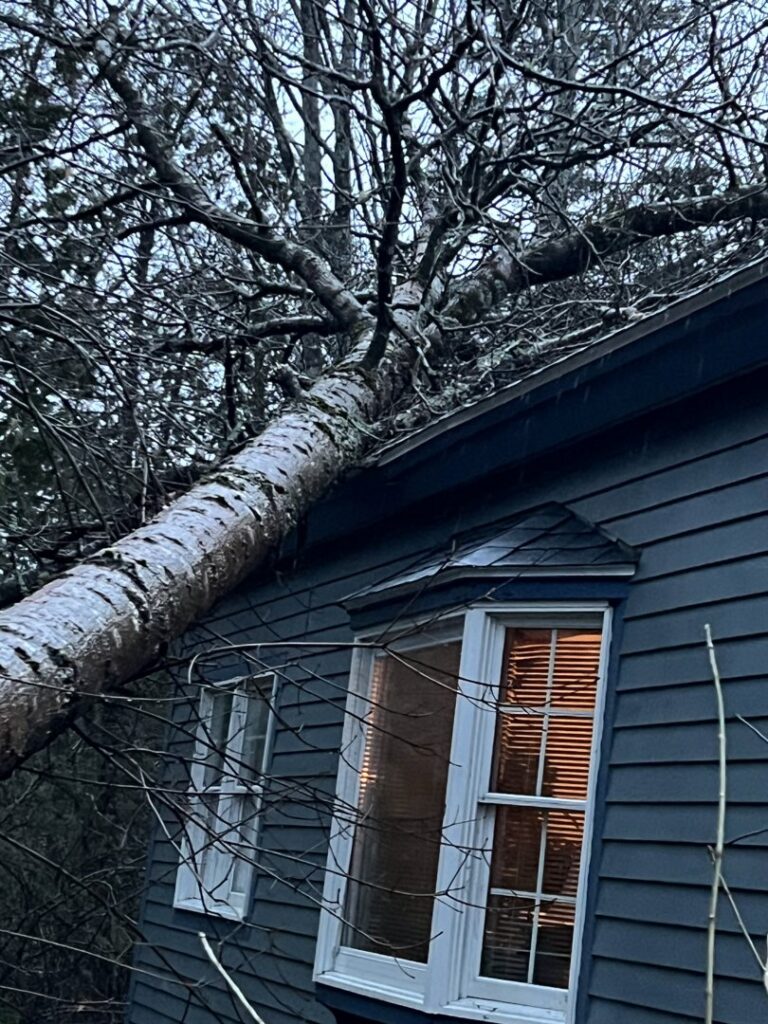 A large tree fallen on a house roof after a storm, requiring removal by BlueWater Tree Service, LLC in Bangor, ME.