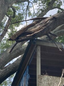 A large storm-damaged tree branch resting on a residential roof, indicating a need for emergency tree service from Ghost Tree Service LLC in Wilmington, NC.