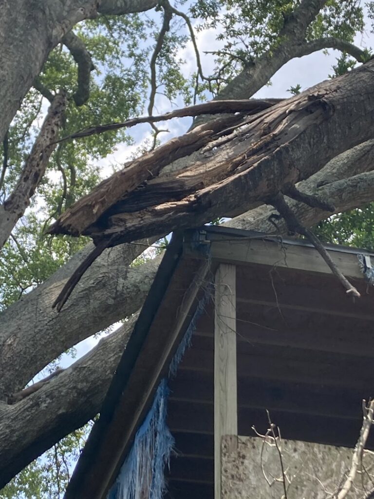 A large storm-damaged tree branch resting on a residential roof, indicating a need for emergency tree service from Ghost Tree Service LLC in Wilmington, NC.