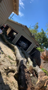 Large sections of a storm-damaged tree trunk removed from a property by Hill's Tree Service in Norman, OK.