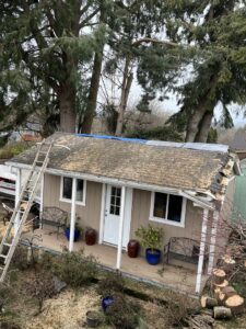 A residential property after a storm-damaged tree has been removed by Wild Roots Arborist, with cut logs on the ground in Fayetteville, AR.