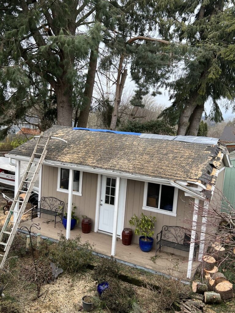 A residential property after a storm-damaged tree has been removed by Wild Roots Arborist, with cut logs on the ground in Fayetteville, AR.