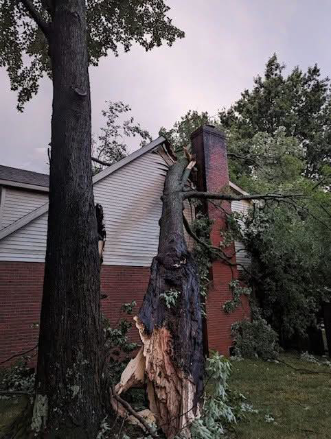 A large, broken tree trunk leaning against a house after storm damage, requiring emergency removal by D.J. Tree Service in Evansville, IN.