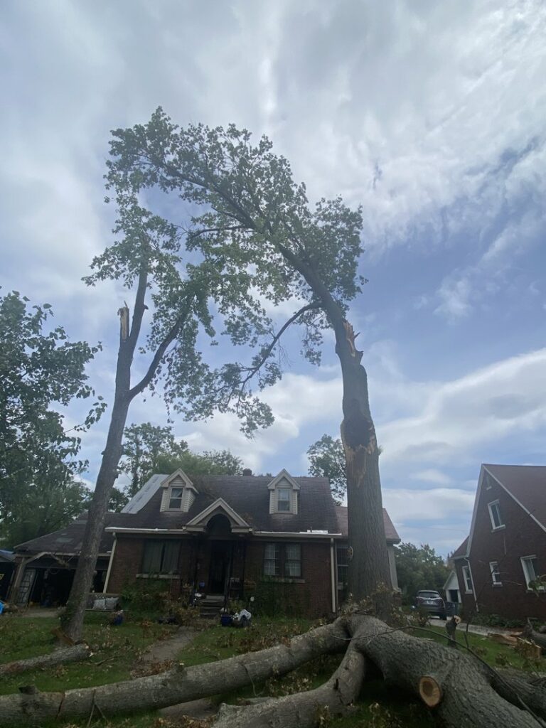 Storm-damaged trees and cut logs on the ground in front of a house, indicating tree removal and cleanup by Gray's Tree and Crane Service in Evansville, IN.