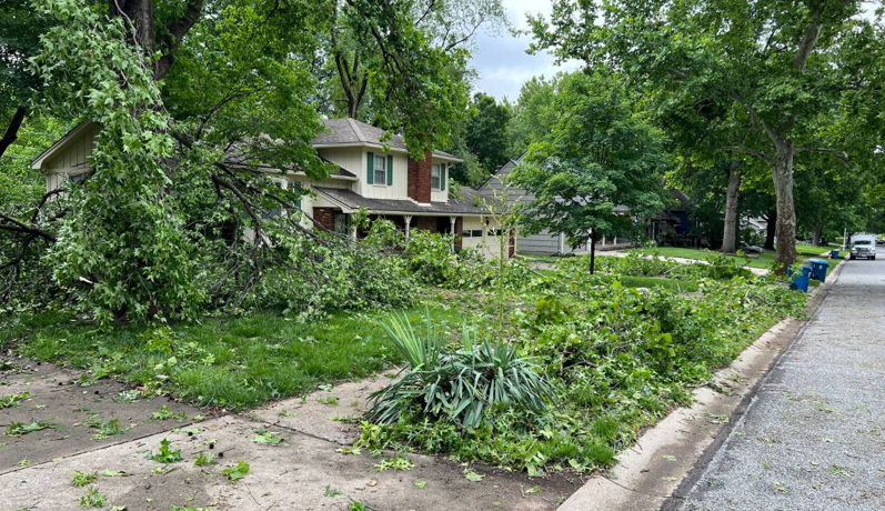 A residential yard covered in storm debris and tree branches, showing a typical cleanup job for Trash Pandas llc in St. Charles, MO.