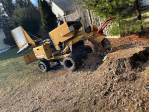 A stump grinder actively removing a tree stump on a property for Haslam Tree Service Inc. in Feura Bush, NY.