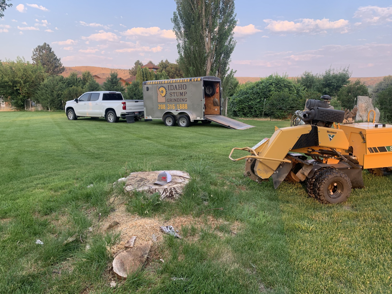 A stump grinder machine and business trailer on site for a stump removal job by Idaho Stump Grinding in Twin Falls, ID.