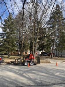 Tree service equipment, including a stump grinder on a trailer, ready for work by Palasz Tree Service in Milwaukee, WI.