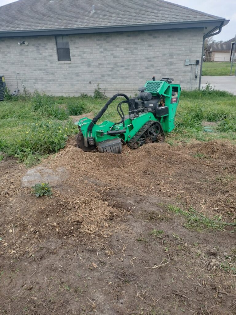 A green stump grinder actively working on a tree stump, demonstrating services by C & N Tree Service in Corpus Christi, TX.