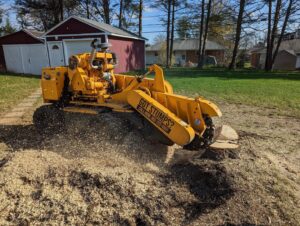 A powerful stump grinder actively working on a tree stump, creating wood chips, performed by Grind Time Tree Service in Wilmington, DE.