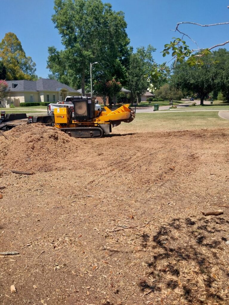 A stump grinder machine actively creating a pile of wood chips during a stump removal service by Jacinto's Tree Services in Montgomery, AL.