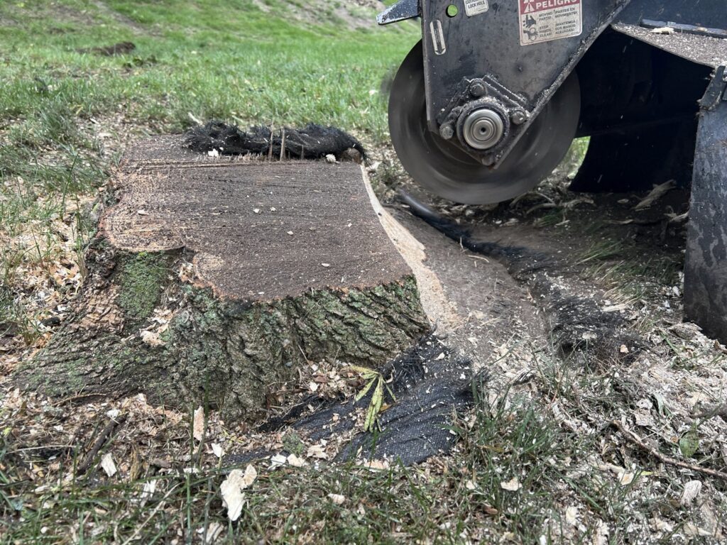 A stump grinder actively removing a tree stump, a service provided by JN Services LLC in Des Moines, IA.