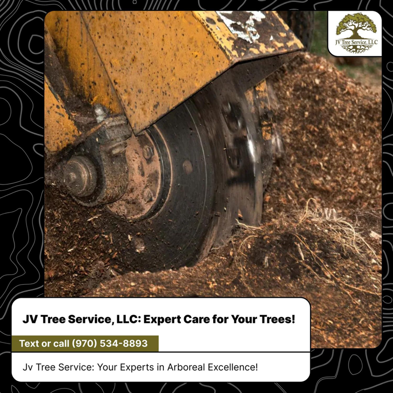 A close-up view of a stump grinder actively turning a tree stump into wood chips by Jv Tree Service, LLC in Greeley, CO.