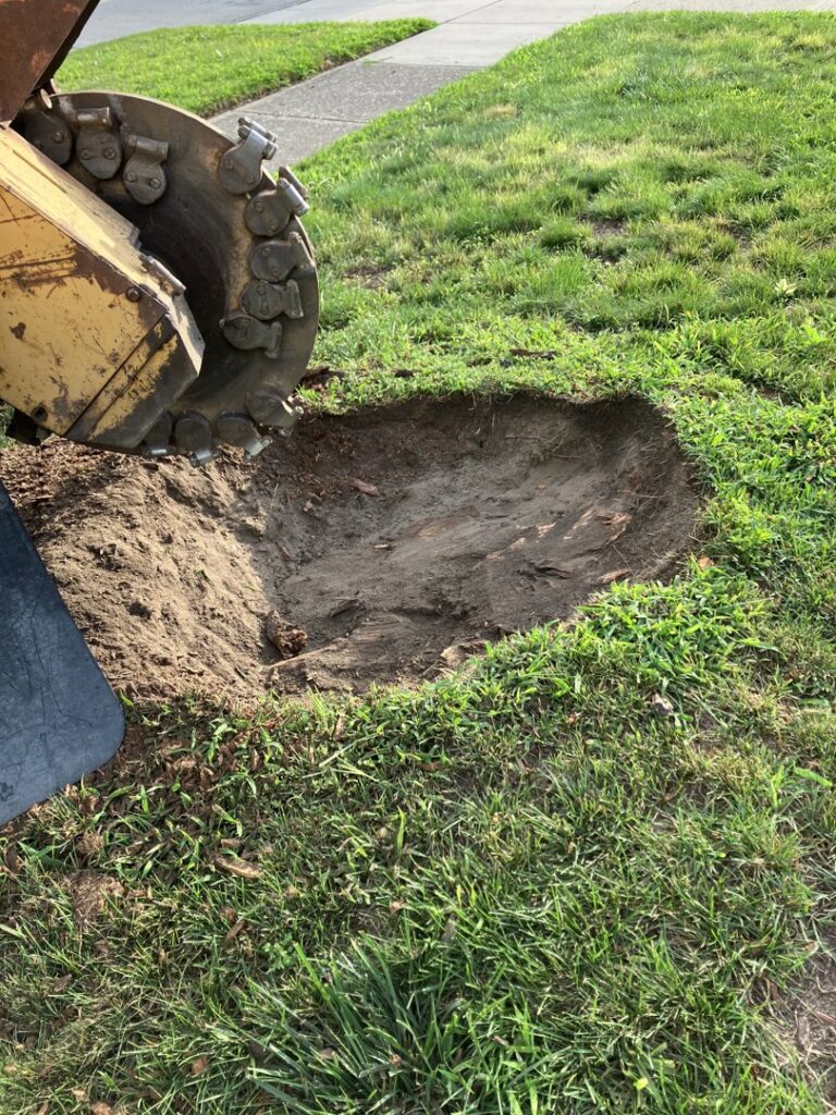 A stump grinder is actively working on removing a tree stump, creating wood chips for Magee Tree Service in Detroit, MI.
