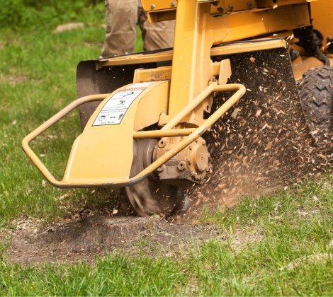 A stump grinder actively removing a tree stump, with wood chips flying, performed by The Tree Service in Knoxville, TN.