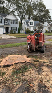 A stump grinder next to a large tree stump, demonstrating stump removal service by Scott Lanes Tree Service in Chesapeake, VA.