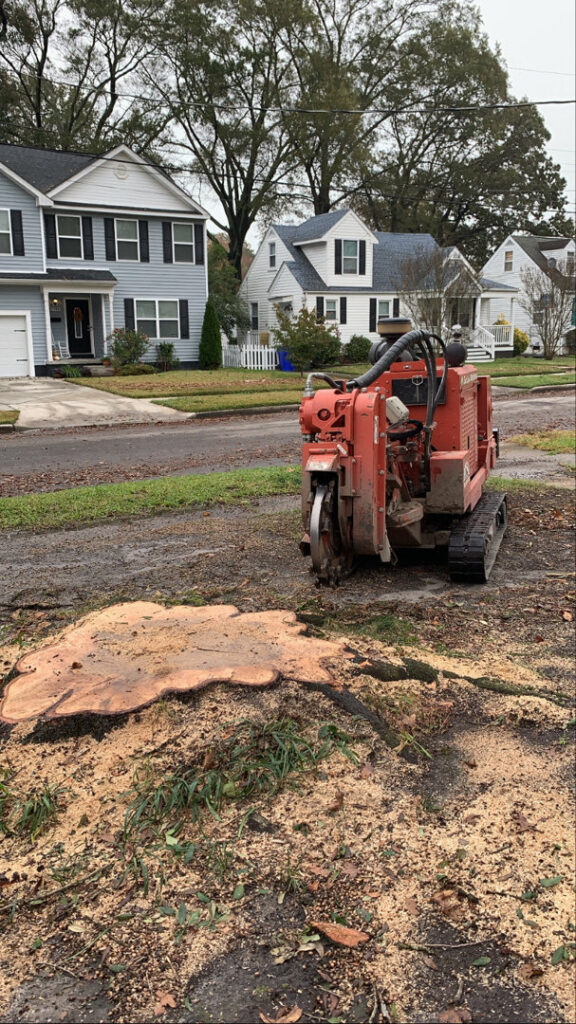 A stump grinder next to a large tree stump, demonstrating stump removal service by Scott Lanes Tree Service in Chesapeake, VA.