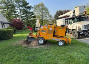 A stump grinder machine actively grinding a tree stump with a bucket truck in the background by El tree service in Columbus, OH.