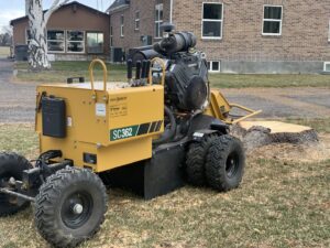A professional stump grinder machine positioned next to a tree stump for removal by Idaho Stump Grinding in Twin Falls, ID.