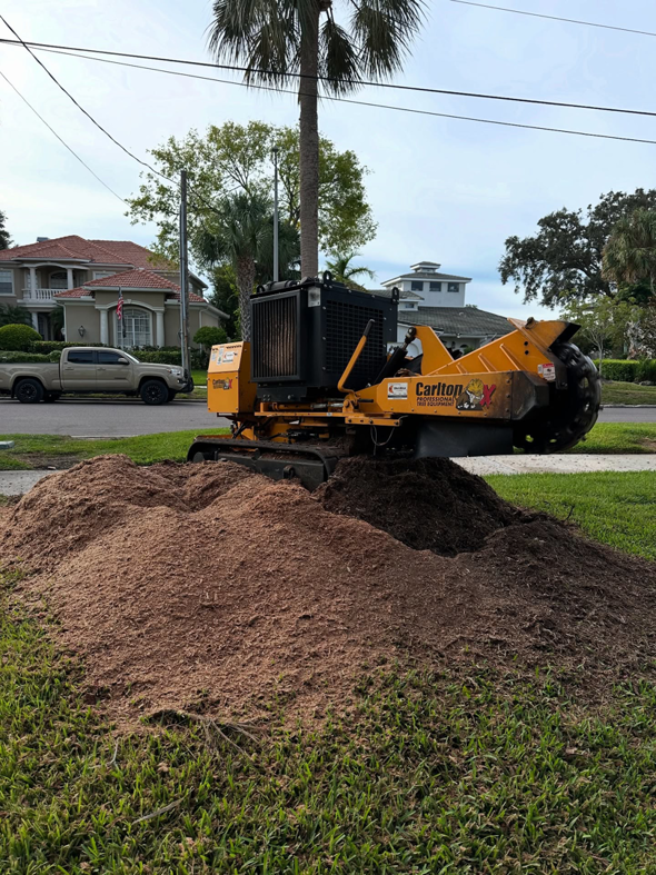 A Carlton stump grinder machine on a pile of wood chips after a job by S & J Stump Removal LLC in Shreveport, LA.