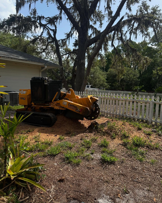 A Carlton stump grinder next to a white picket fence after a stump removal service by S & J Stump Removal LLC in Shreveport, LA.