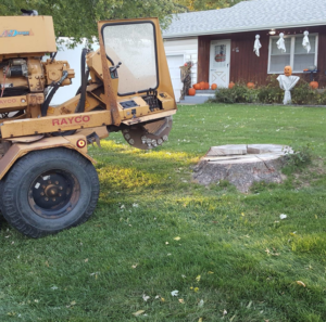 A stump grinder positioned next to a freshly cut tree stump in a residential yard by AJ'S Stump Grinding in Bauxite, AR.
